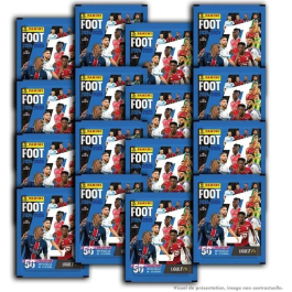 Panini Caja Fútbol Ligue 1 2024-2025 McDonald's PAN8051708022391 50 fundas 350 pegatinas