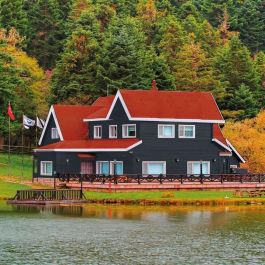 Pintura de Imprimación Bondex Gris Satinado 5 L