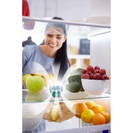 Eliminador de Olores Meliconi 621030 Verde