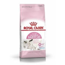 Royal Canin Mother & Babycat 10kg, Alimento para Gatitos, Refuerzo Inmunológico, DHA, Alta Digestibilidad Precio: 141.50000029. SKU: B1AEGVVYZ5