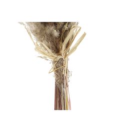 DKD Home Decor Ramo de Flor Seca Marrón y Rosa Palo de 56 cm Alto - Pack 6 Unidades DKD Home Decor Ramo de Flor Seca Marrón y Rosa Palo de 56 cm Alto - Pack 6 Unidades