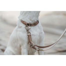 Hunter Collar Inari Alu-Strong M Cuello 30-45 cm 15mm Ancho Beige Ajustable Poliéster Secado Rápido Cierre Aluminio Resistencia 200 kg Hunter Collar Inari Alu-Strong M Cuello 30-45 cm 15mm Ancho Beige Ajustable Poliéster Secado Rápido Cierre Aluminio Resistencia 200 kg