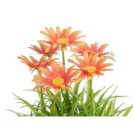 Ibergarden Maceta Margarita Surtida de Plástico, Colores Aleatorios (Amarillo, Blanco, Violeta, Naranja), 14x21x14 cm (24 Unidades) Ibergarden Maceta Margarita Surtida de Plástico, Colores Aleatorios (Amarillo, Blanco, Violeta, Naranja), 14x21x14 cm (24 Unidades)