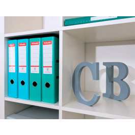 Esselte Archivador de Palanca DIN A4 Lomo 75 mm Carton Forrado PVC Color Coral