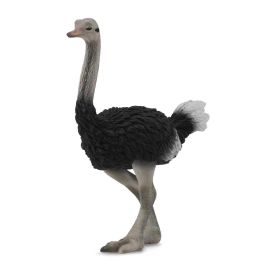 Collecta 88459 Figura Avestruz - Réplica Detallada de Animal Salvaje Escala L, Pintada a Mano, +3 Años Precio: 7.9618. SKU: B12KJVEVPZ
