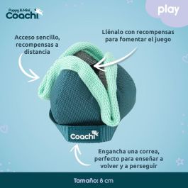Arnés para Perro Coachi