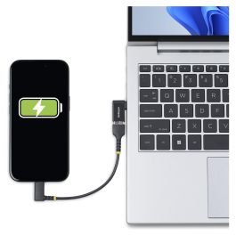 Adaptador USB Startech USB31CAADGCPRA Negro