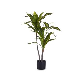 Ibergarden Planta Con Maceta Hoja Ancha Pequeña 90 cm (Alto) x 60 cm (Ancho/Largo) Plástico Verde