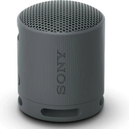 Sony Altavoz Portable Bluetooth SRS-XB100 Negro 2.0 Resistente al Agua IP67 Sonido Potente y Nítido Batería 16h