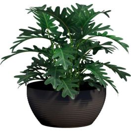 Garden ID 02042769 Vaso Green Care Impact Black-Anth 25x12cm 100% Reciclado Resistente UV/Heladas Garantía 10 Años