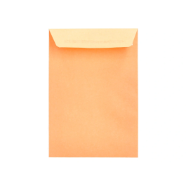 Liderpapel Bolsa N.0 Cel Caña Sobres Salarios 100x145mm Tira Silicona Caja 1000 Unidades