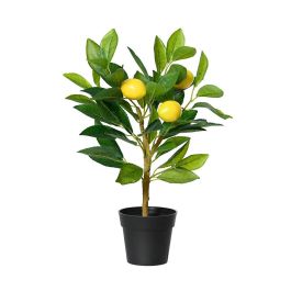 Planta artificial limonero 17 x 24 x 43 cm Precio: 15.94999978. SKU: B157VHXXLT