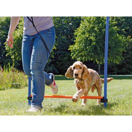 Juguete de adiestramiento Trixie