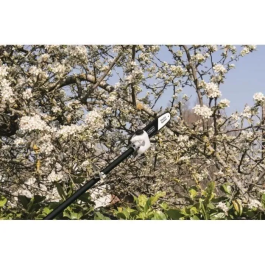 Scheppach Desbrozadora de Gasolina 52CC 4 en 1 (Desbrozadora, Podadora, Cortasetos, Bordeadora)