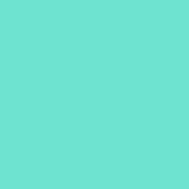 Cricut Rollo de vinilo de termotransferencia Smart Vinyl Permanent, Menta, 2008629 Cricut Rollo de vinilo de termotransferencia Smart Vinyl Permanent, Menta, 2008629