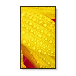 NEC MultiSync M551-2 Diseño de quiosco 127 cm (50") LED 4K Ultra HD Negro Procesador incorporado NEC MultiSync M551-2 Diseño de quiosco 127 cm (50") LED 4K Ultra HD Negro Procesador incorporado
