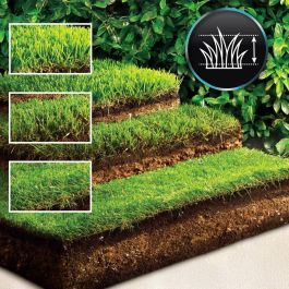 Cecotec Cortacésped de batería E3 Liberty Z Plus 20V 38cm 40L Brushless 3en1 mulching