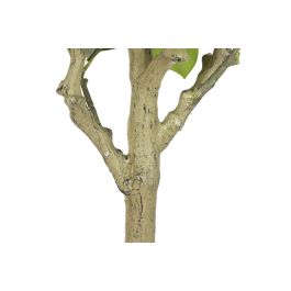 DKD Home Decor Árbol Oriental Magnolio Blanco Verde 70 x 180 x 70 cm PE/PP (2 Unidades)