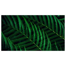 Philips 27B2G5500 Monitor de 27 Pulgadas Quad HD IPS 100Hz 4ms Antracita 2xHDMI DP USB