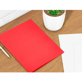 Liderpapel Subcarpeta Archivador DIN A4 Rojo Intenso 180g/m2