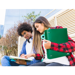 Liderpapel Carpeta 4 Anillas 40 mm Polipropileno DIN A4 Verde Translucido