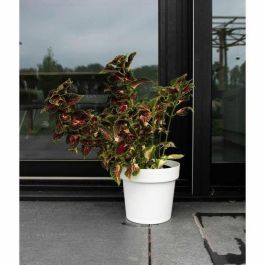 Garden Id 08311801 Maceta Glamour con Reserva de Agua Blanco 40 cm Superficie Granulada Interior/Exterior Diseño Elegante