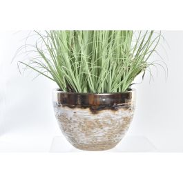 DKD Home Decor Planta Rosa Palo Hortensia 20 x 78 x 20 cm (2 Unidades)