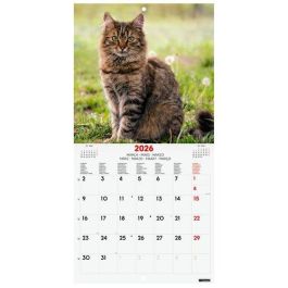 Calendario (2026) Finocam Internacional Pared Imagenes Mensual Para Escribir 180X180 Cats Precio: 6.50000021. SKU: B14JWME8YL