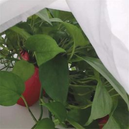 Biotop Tela de Protección para Cultivos 1,5 x 5 m 30gr/m² con Tratamiento UV