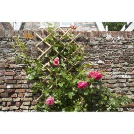 Nature Enrejado extensible de bambú natural Marrón 70x180cm. Celosía adaptable para facilitar el crecimiento de plantas trepadoras y decorar paredes.