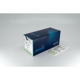 Atramat Sutura de Nylon Sintética Monofilamento No Absorbible 2-0, Aguja Triangular Recta 60 mm, Hilo 75 cm, Negro, 12 Unidades Precio: 26.4999999. SKU: B1HSYB7G5G