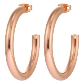 Pendientes Mujer Michael Kors SMALL HOOP Acero Inoxidable Oro Rosa Precio: 108.59000042. SKU: B1G953AKSF