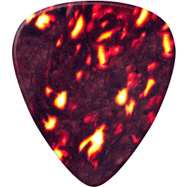 DUNLOP Player'S Pack De 12, Thin