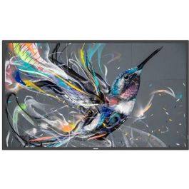 Philips 65BDL3511Q/00 Monitor 65" 4K Ultra HD IPS Panel para Señalización Digital, 3840x2160 Pixeles, 400 cd/m², Negro Precio: 1151.68999957. SKU: S55169501