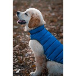 Red Dingo Abrigo Puffer Jacket Reversible para Perro, Acolchado Ligero, Resistente al Viento, Neopreno, Azul-Turquesa, 40 cm