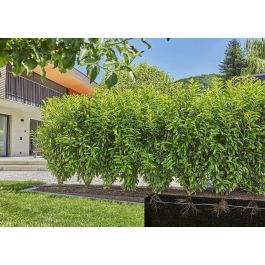 Gardena Kit de iniciación: 50 m de tubería de goteo incorporada y tapa del extremo de línea - 13501-20