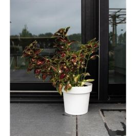 Garden Id 08311801 Maceta Glamour con Reserva de Agua Blanco 40 cm Superficie Granulada Interior/Exterior Diseño Elegante Precio: 26.59000047. SKU: B1C3TWK4RX