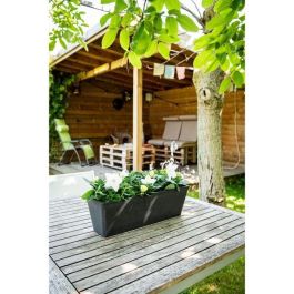 Jardinera - GARDEN ID - Green Care Impact Black-Anth - 50 x 16 x 16 cm - 10 años de garantía - 100% reciclado - Resistente a los rayos UV/gel Jardinera - GARDEN ID - Green Care Impact Black-Anth - 50 x 16 x 16 cm - 10 años de garantía - 100% reciclado - Resistente a los rayos UV/gel