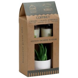 Juego De 2 Velas Y Planta Home Deco Factory Precio: 8.49999953. SKU: B14CM5RHBP