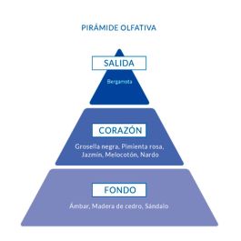 Aire Sevilla Chicca Bonita Eau de Toilette Vaporizador Mujer 150 ml Oriental Floral