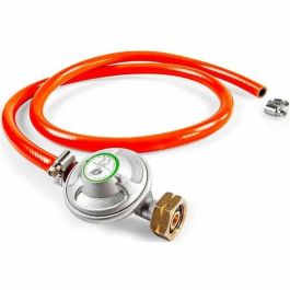 Fieldmann Parrilla FZG 3003