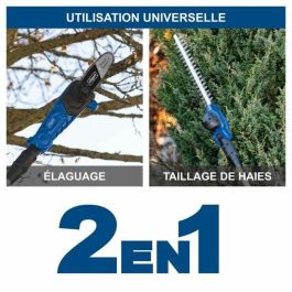 Scheppach C-PHTS410-X Podadora y Cortasetos 2 en 1 Inalámbrico 20V IXES - Herramienta de Jardín para Altura, Sin Batería ni Cargador