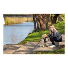 Arnés para Perro Company of Animals Halti Talla M (34-56 cm) Arnés para Perro Company of Animals Halti Talla M (34-56 cm)