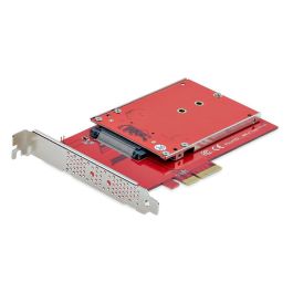 Startechcom 1M25-U3 Adaptador M.2 a U.3 (SFF-TA-1001) 2.5 Pulgadas NVMe PCIe 4.0 para Servidores y Estaciones de Trabajo