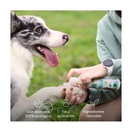 Cuchillas para Recortadora Menforsan