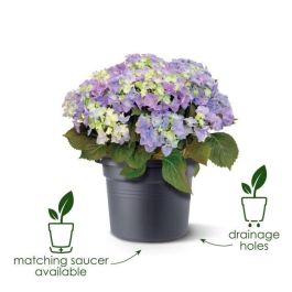 Jardinera Elho Green Basics Cilinder 55 - Negro - Ø 54 x H 41 cm - exterior - 100% reciclado Jardinera Elho Green Basics Cilinder 55 - Negro - Ø 54 x H 41 cm - exterior - 100% reciclado