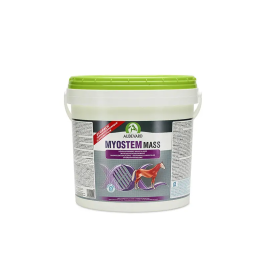 Audevard Myostem Mass Alimento Complementario para Caballos para Desarrollo Muscular y Recuperación 6 kg Precio: 240.5900002. SKU: B1CVLHTWDQ