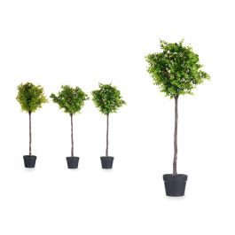 Arbol Helecho Verde Surtidos Ibergarden 35X96CM (3 Unidades) Precio: 80.6899995. SKU: B13V9A3R43