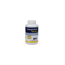 Stangest Condrocit 120 Comprimidos Precio: 37.8900005. SKU: B1DWTYRM9Y