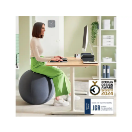 Leitz Balón de Asiento Active 75 cm Antideslizante Gris Oscuro